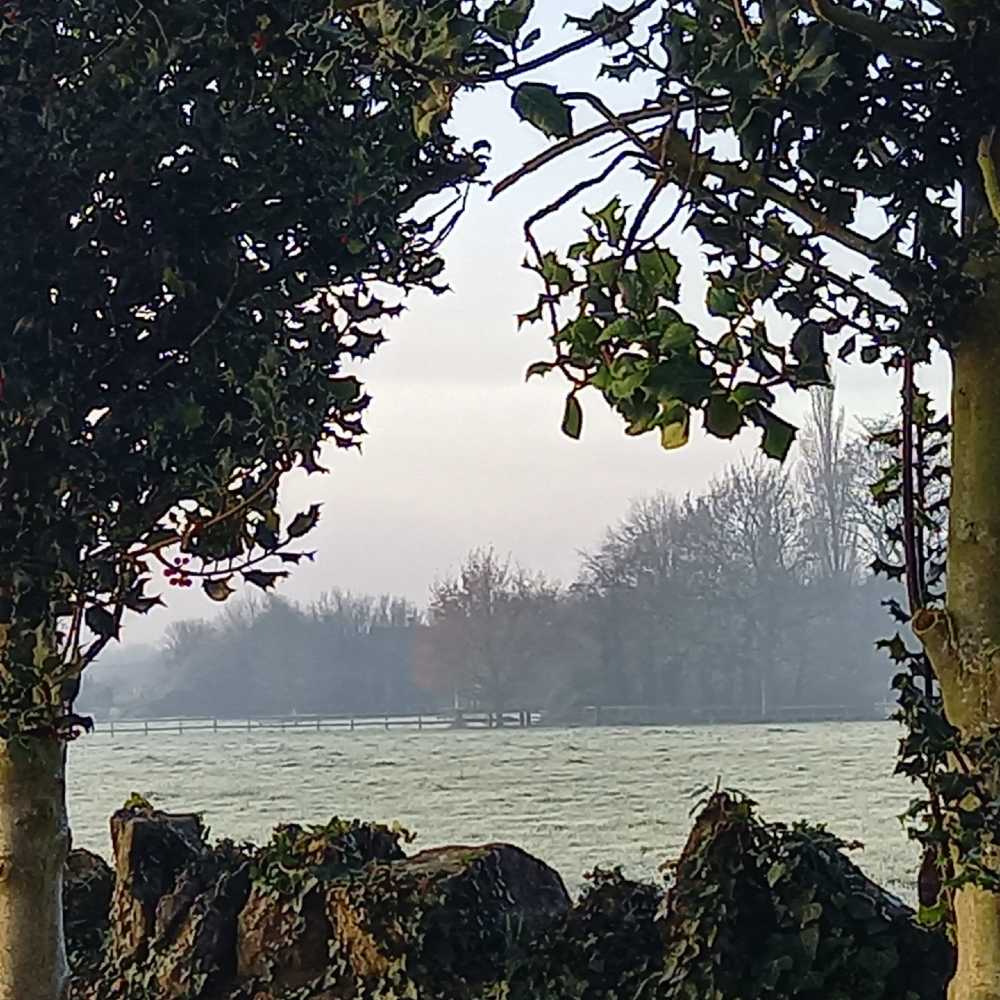 20201126_084050